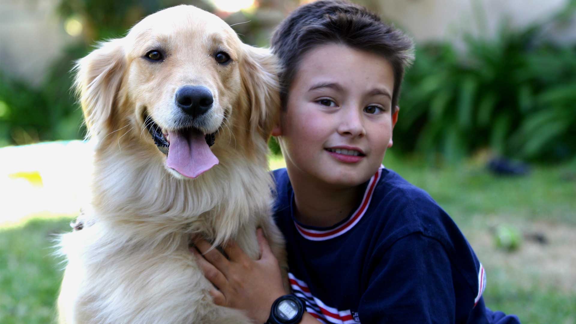 Golden Retriever Rescue Club Of Charlotte