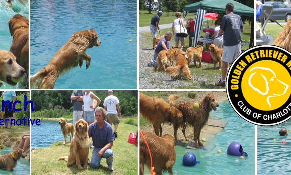 6/1/2019 – Registration Now Closed for Dunk Your Dog