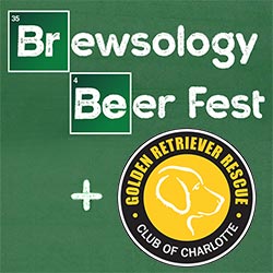 Brewsology Beer Fest Summary