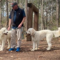 Sam now Teddy – Adopted 3/2023