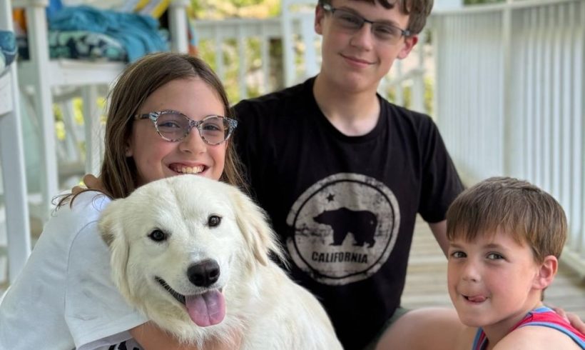 Forest – Adopted 6/2024