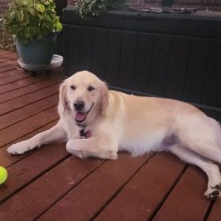 Winnie now Adley – Adopted 09/2025